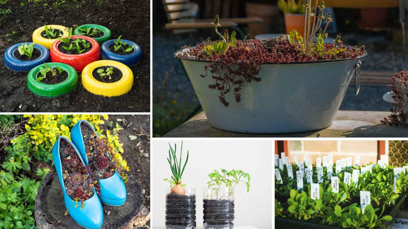 How To Make A Vegetable Garden Look Nice On A Budget? Slick Garden