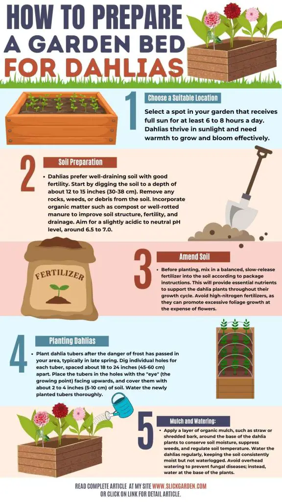 How To Prepare A Garden Bed For Dahlias? Slick Garden