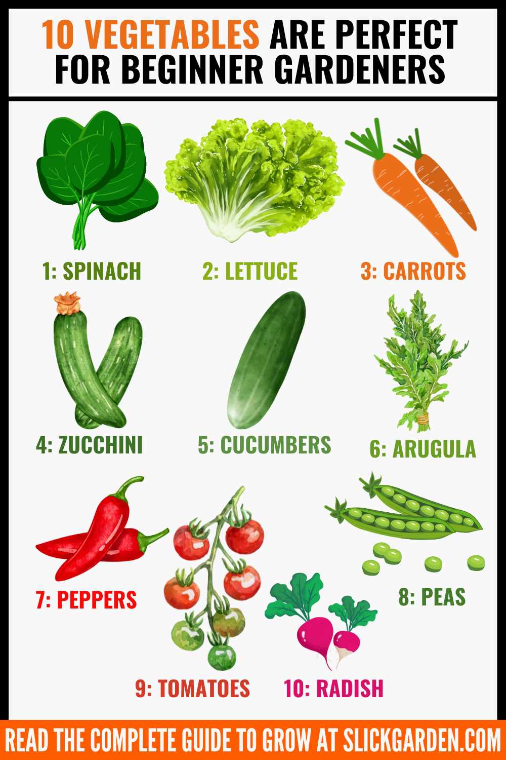 10 Vegetables That Are Perfect For Beginner Gardeners – Slick Garden