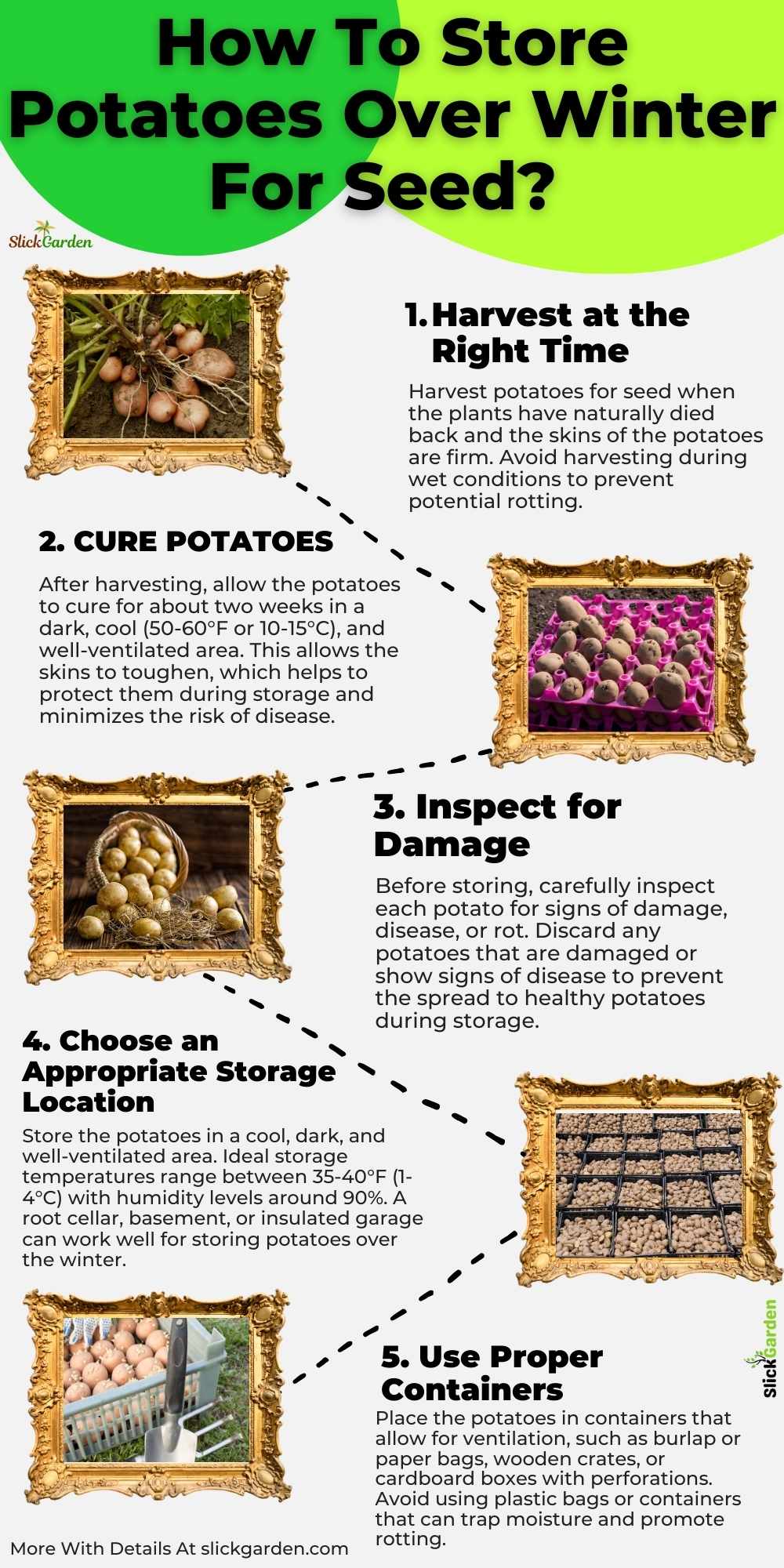 Tips For Storing Potatoes Over Winter For Seeds - infographic