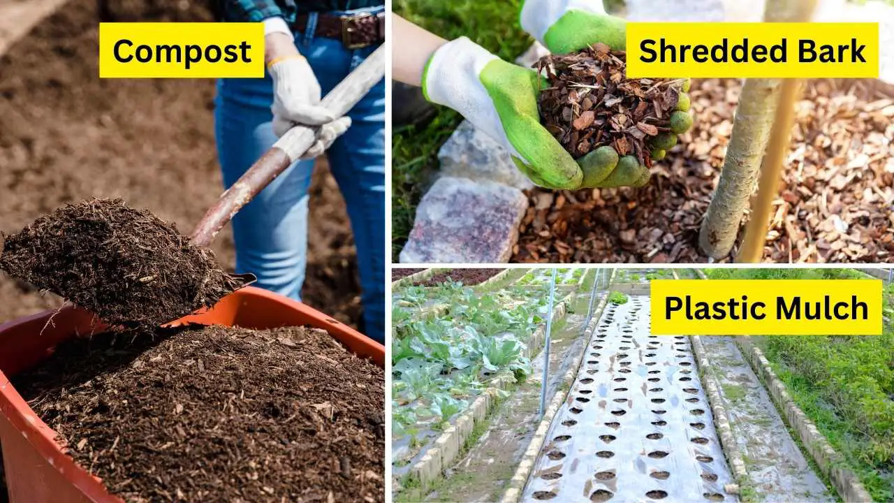 10 Best Mulch For A Vegetable Garden Slick Garden