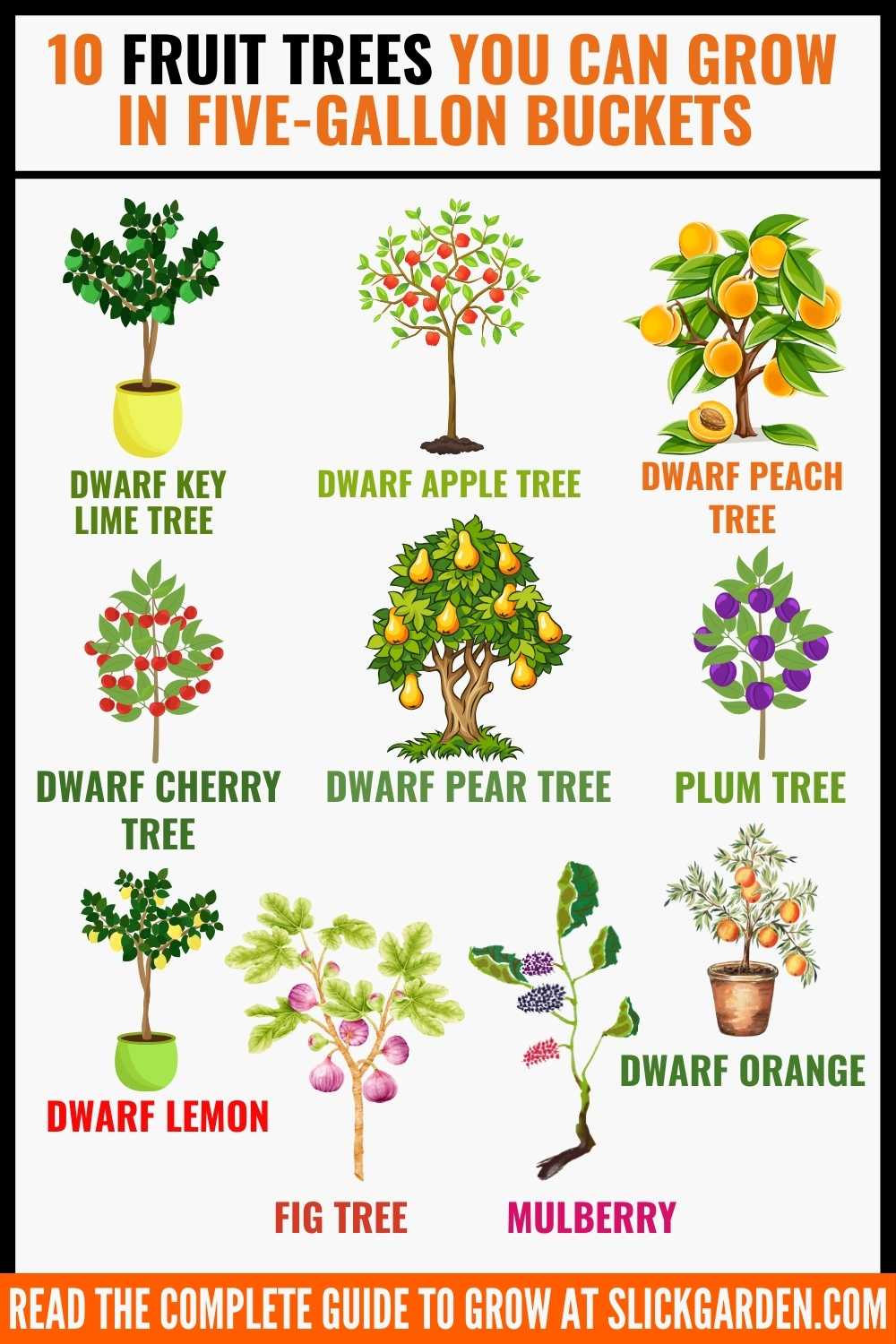 10 Fruit Trees You Can Grow In FiveGallon Buckets Slick Garden