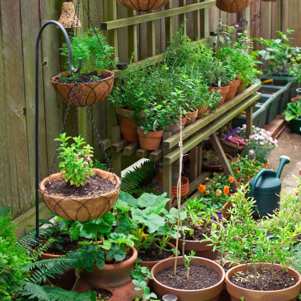  Container Gardening, Maximize Small Spaces