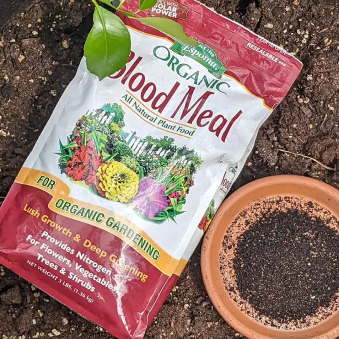 The Best Organic Fertilizers For Raised Garden Beds And No Dig
