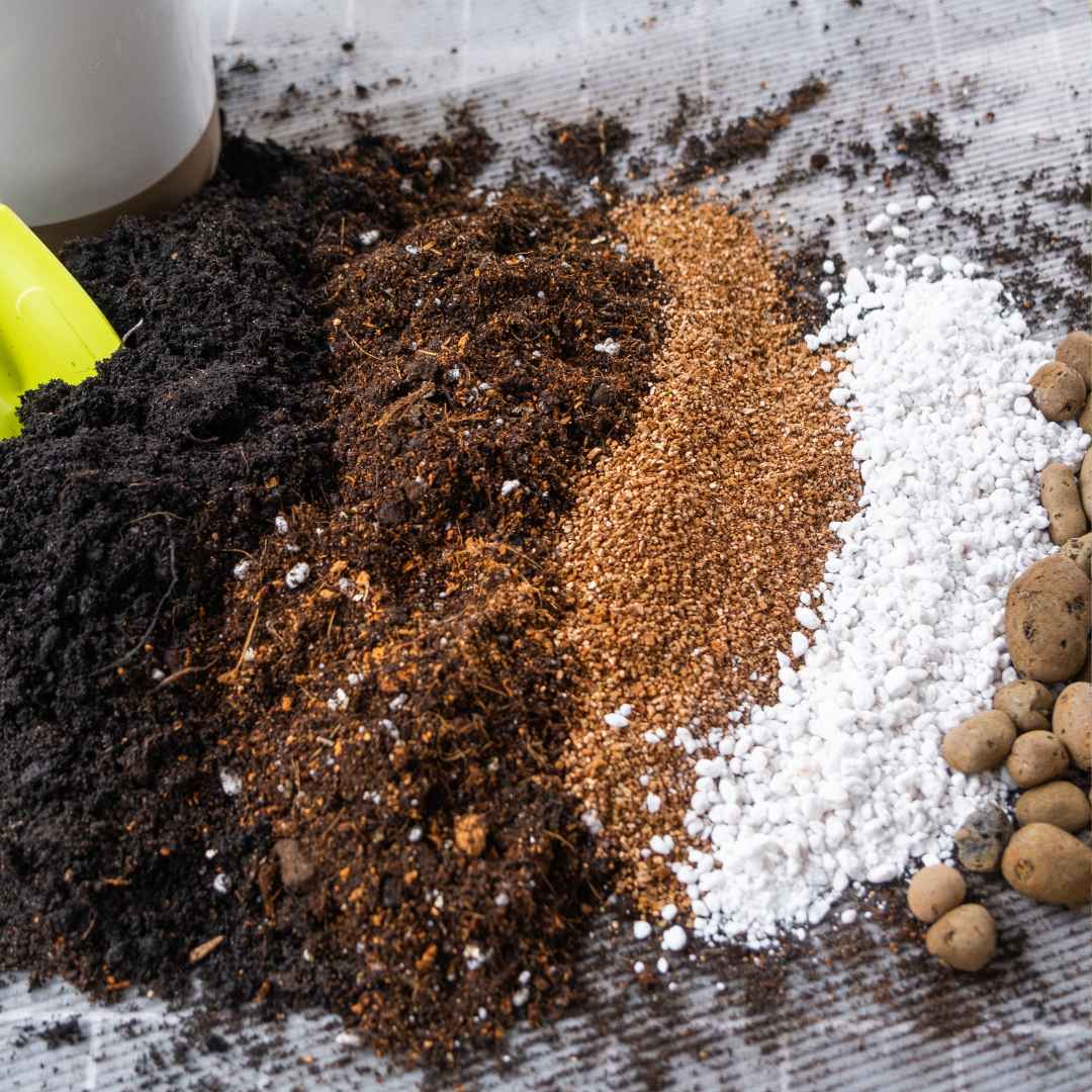 The Best Organic Soil Amendments for A Thriving Vegetable Garden ...