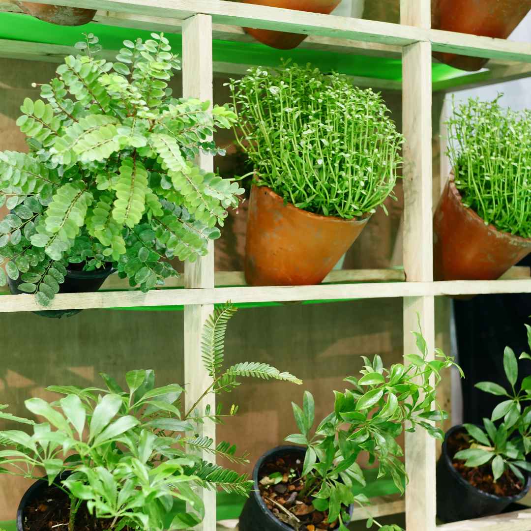 How To Grow More Vegetables Organically In Small Spaces: – Slick Garden