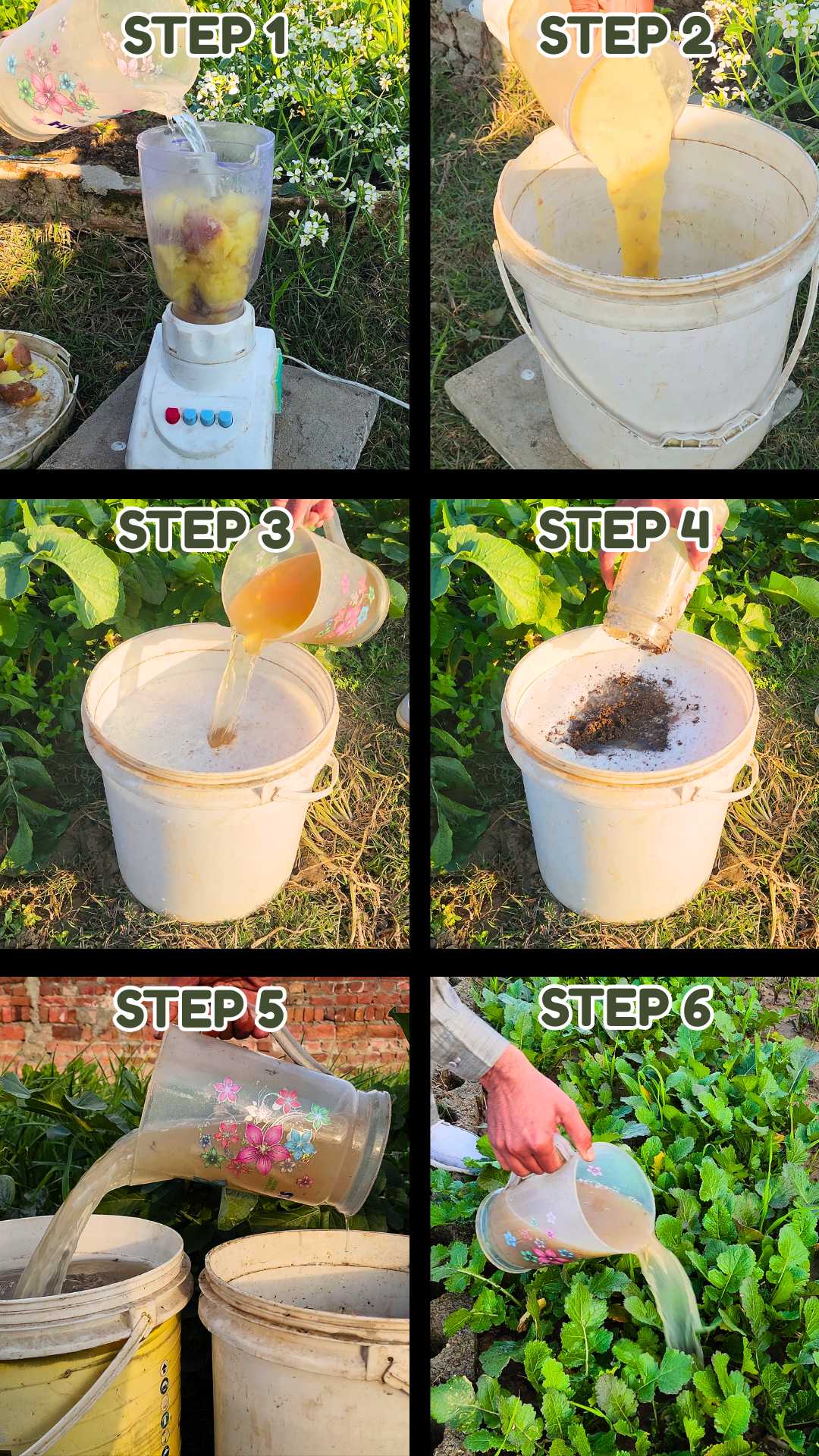 Plants Exploded I Made This Liquid Fertilizer at Home and My Plants Exploded with ...