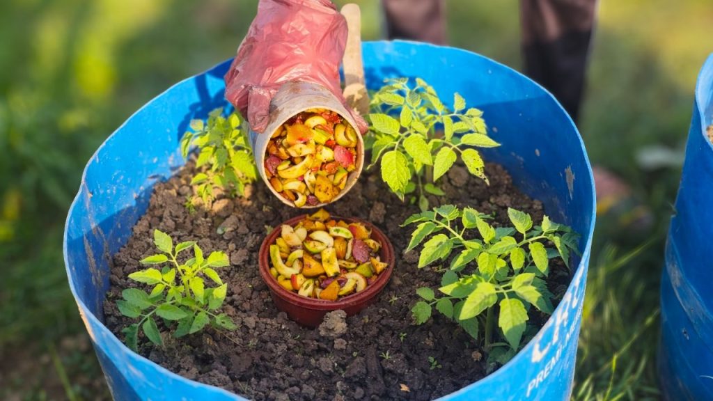 Mud Composter Turning a Simple Mud Pot Into a Natural Compost System – Slick Garden